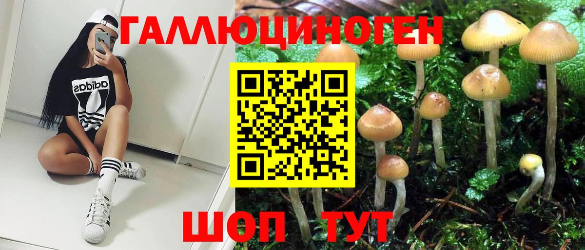 Каспийск  Псилоцибиновые грибы мицелий  Вход с VPN 
